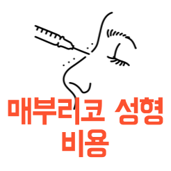 매부리코 성형